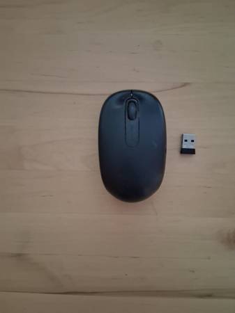 Microsoft mouse 1