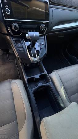 Interior Detail/Headlight Restoration Specialist 1