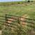 320± Acres Grass Pasture, Cropland, Ponds & More! 20 thumbnail