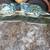 1994 - 1996 chevrolet impala ss / caprice dash parts glass interior 16 thumbnail
