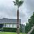 Affordable Tree Work - Small Business - Quality Work 2 thumbnail