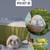 baby bunnies dwarf lop 1 thumbnail