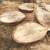 Cottonwood Round Slabs 8 thumbnail
