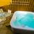 OC Family/Group Vacation Beach House Rentals!!! 8 thumbnail