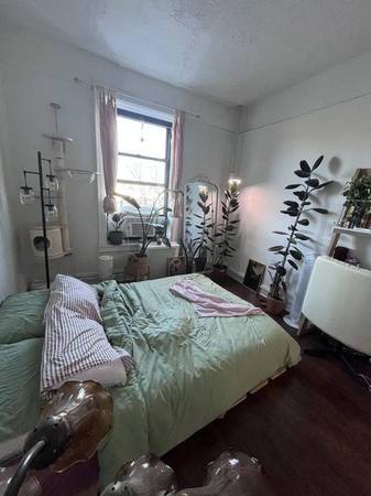 $1,050 / 1500ft2 - Habitación grande soleada llena de plantas con ambiente bohemio en Prospect Park! (Prospect Park/Brooklyn)63862609043971122