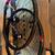 2025 Santa Cruz SL 30 Reserve NEW 5 thumbnail