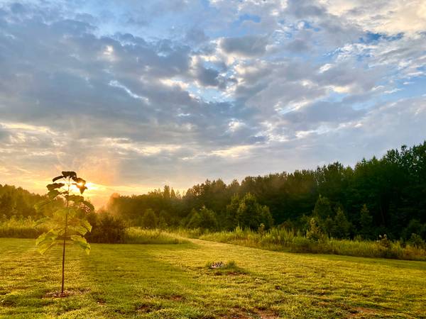 $675,000 33 acres totally private IMPROVED LAND (Trinity NC)64027278375555121