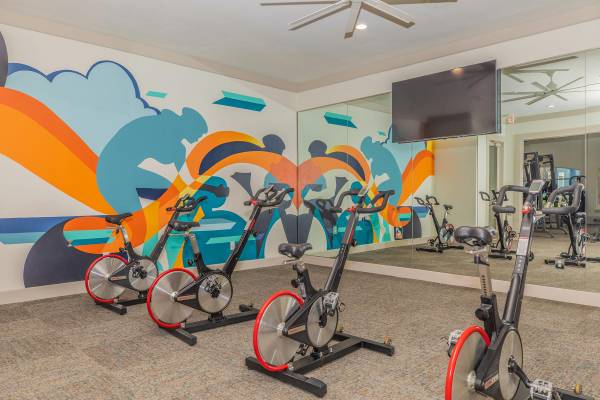 $1,700 / 1br - 1275ft2 - 🏡 Spacious 2BR Apartment at The LYNX (Webster)63906680743939124