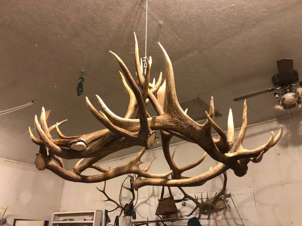 Antler Lighting 1
