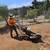 Affordable Tree Care Santa Rosa 8 thumbnail