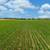 72+ Acre Irrigated Farmland with Development Potential! 16 thumbnail