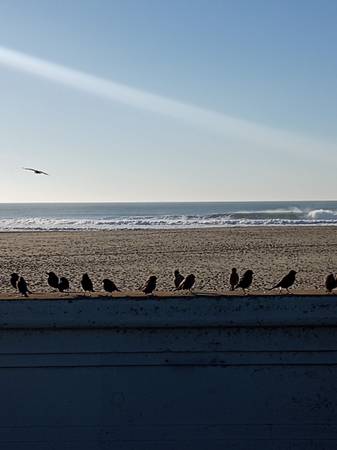 Pacific Palisades-Westside 1