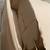 Stokke Bounce n Sleep Daybed Bassinet Rocker 11 thumbnail