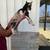 Nigerian Dwarf Goats 5 thumbnail