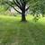 Trees Trimmed 1 thumbnail