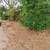 Affordable Falling Tree Cutting~Tree Trimming~Bush Hog~Lot Clean Up~ 1 thumbnail