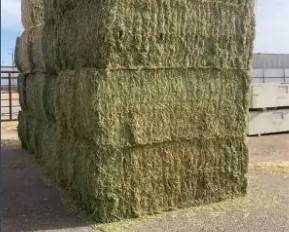 Hay for Sale 1
