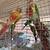 Conure(s) 3 thumbnail