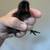 Fertilized Ayam Cemani chicken eggs 4 thumbnail