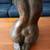 Bronze Sculpture by Artist Victor Gutiérrez – Unique Collectible Art 8 thumbnail