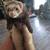 Ferret 1 thumbnail