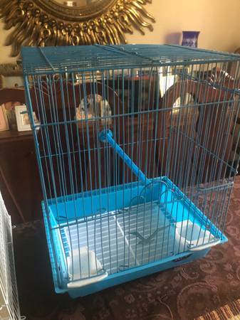2 cages (slightly N.Hou)63859315232897122