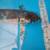 Medium domestic butterfly fin koi 5 thumbnail