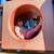 FUMC Preschool and Child Care Openings 1 thumbnail