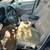 2000 BMW 5 speed manual transmission 4 thumbnail
