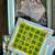 Juicy Fruits Board Game 3 thumbnail