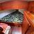 Pacific Seacraft Sailboat - Dark Horse 3 thumbnail