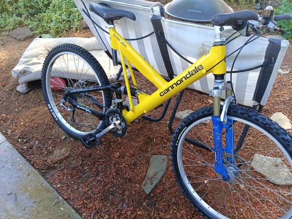 Cannondale 1