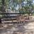 Mini jack THE kindest mini donkey you will ever meet 2 thumbnail