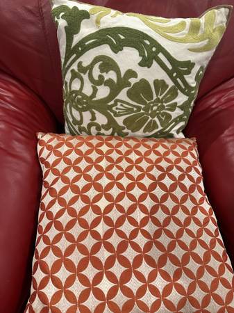 FREE 2 throw pillows 1