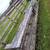 Work Benches Turned Bleachers 4 thumbnail