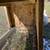 Duck coop ( hutch ) 5 thumbnail