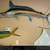 WTB.........whitemarlin 1 thumbnail