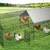 Chicken run  metal pen for outdoor animals 1 thumbnail