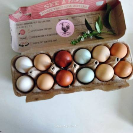 Fertile farm fresh eggs 1