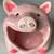Pig sponge holder, summer garden decoration, scrubbie holder 1 thumbnail