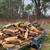 Seasoned Firewood For Sale 2 thumbnail