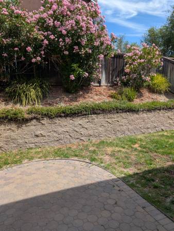 $4,200 / 4br - 4 bed, 3 bath available now (hercules, pinole, san pablo, el sob)63933766891651123