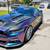 2017 Mustang GT Premium 8 thumbnail