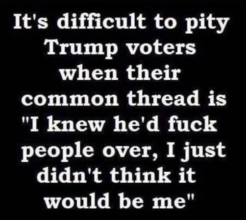 It Is Difficult To Pitty Trump Voters 1