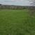 7.3 acres for sale in Madison County 4 thumbnail