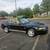 2004 Ford Mustang Deluxe 40th Year Anniversary 17 thumbnail
