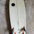 Watermark Fish Surfboard 2 thumbnail