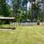🏠 Cute Cape Cod in Williamstown 🏠 5 thumbnail