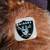 Raiders Plush Bear 4 thumbnail