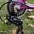 24” TREK Girl’s 21 Speed Mountain Bike Bicycle Pristine Like New MINT 8 thumbnail